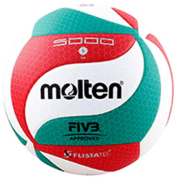 BALÓN MOLTEN V5M5000